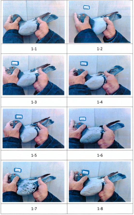 /Upload/Product/243532ce2f1e4752a18c9f2368a0b9ca.png?width=200&height=148&bgcolor=fff