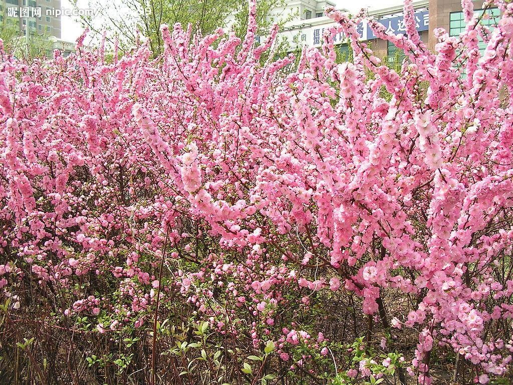 /Upload/Product/281b47d385094470b94128e552506734.jpg?width=200&height=148&bgcolor=fff