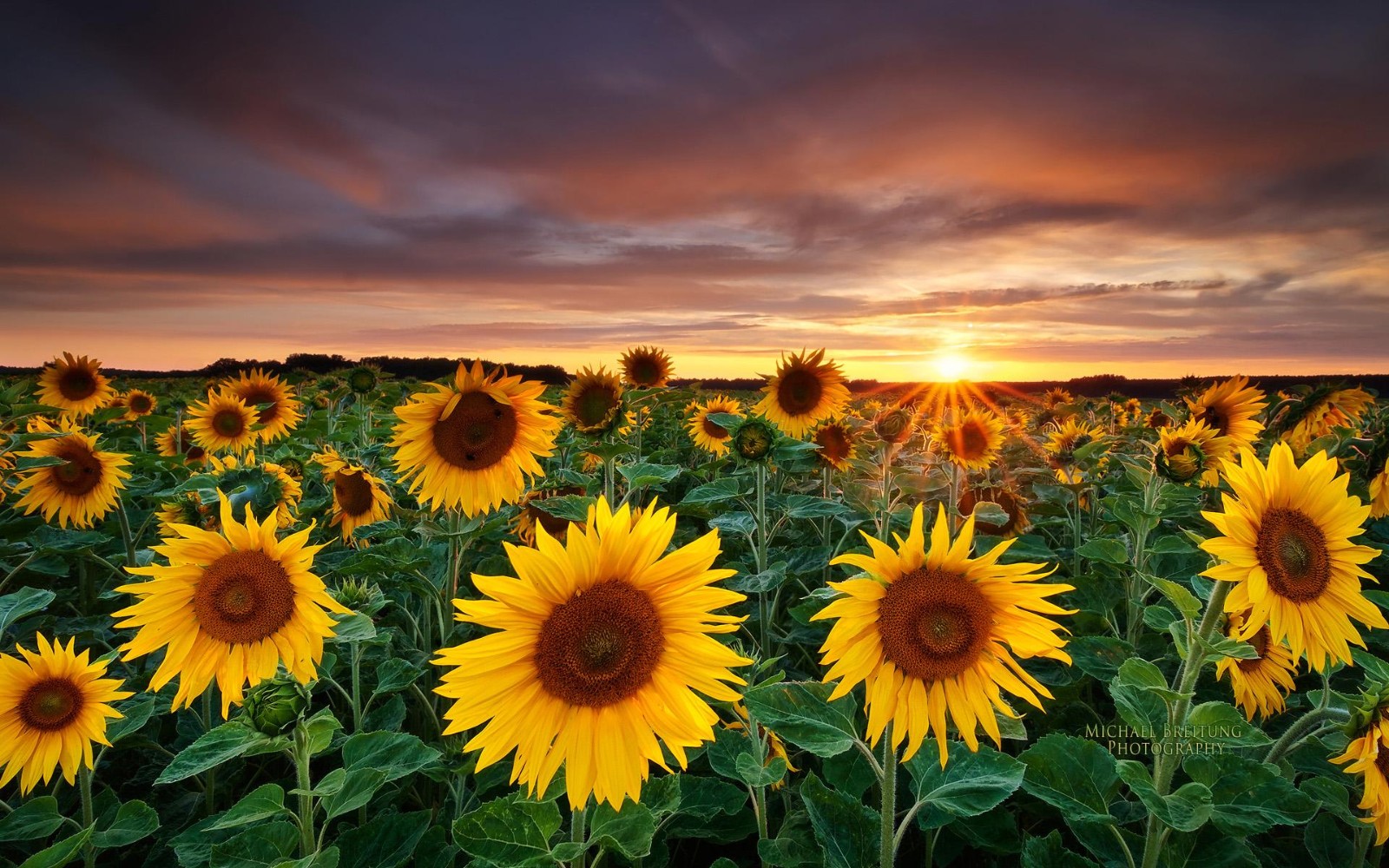 /Upload/Product/2a2076a733a6400d8494623313b46df9.jpg?width=200&height=148&bgcolor=fff