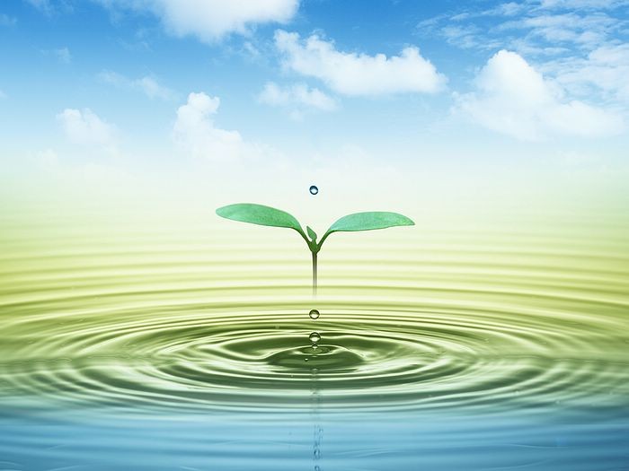 /Upload/Product/3076a0c482014f278e8b98c71536813e.jpg?width=200&height=148&bgcolor=fff