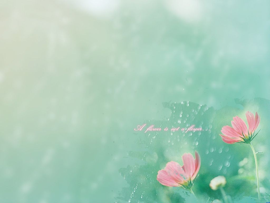/Upload/Product/35c2774908114e76adb175132b71b543.jpg?width=200&height=148&bgcolor=fff