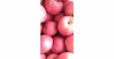 /Upload/Product/3b47dc228dcf4340846e1a4e00c4803b.jpg?width=200&height=148&bgcolor=fff