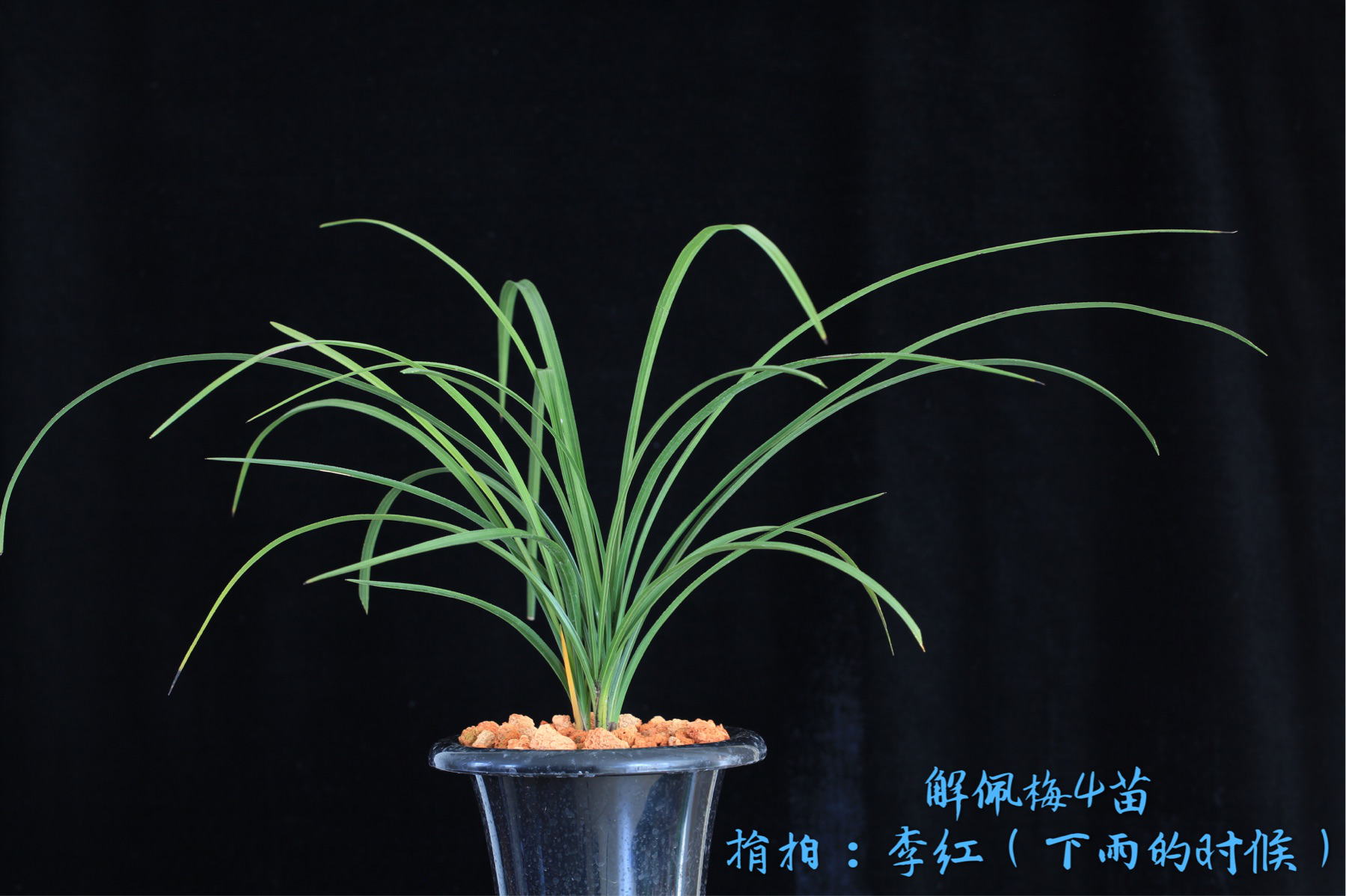 /Upload/Product/553812d366f6405aa6c476a0160e41de.png
