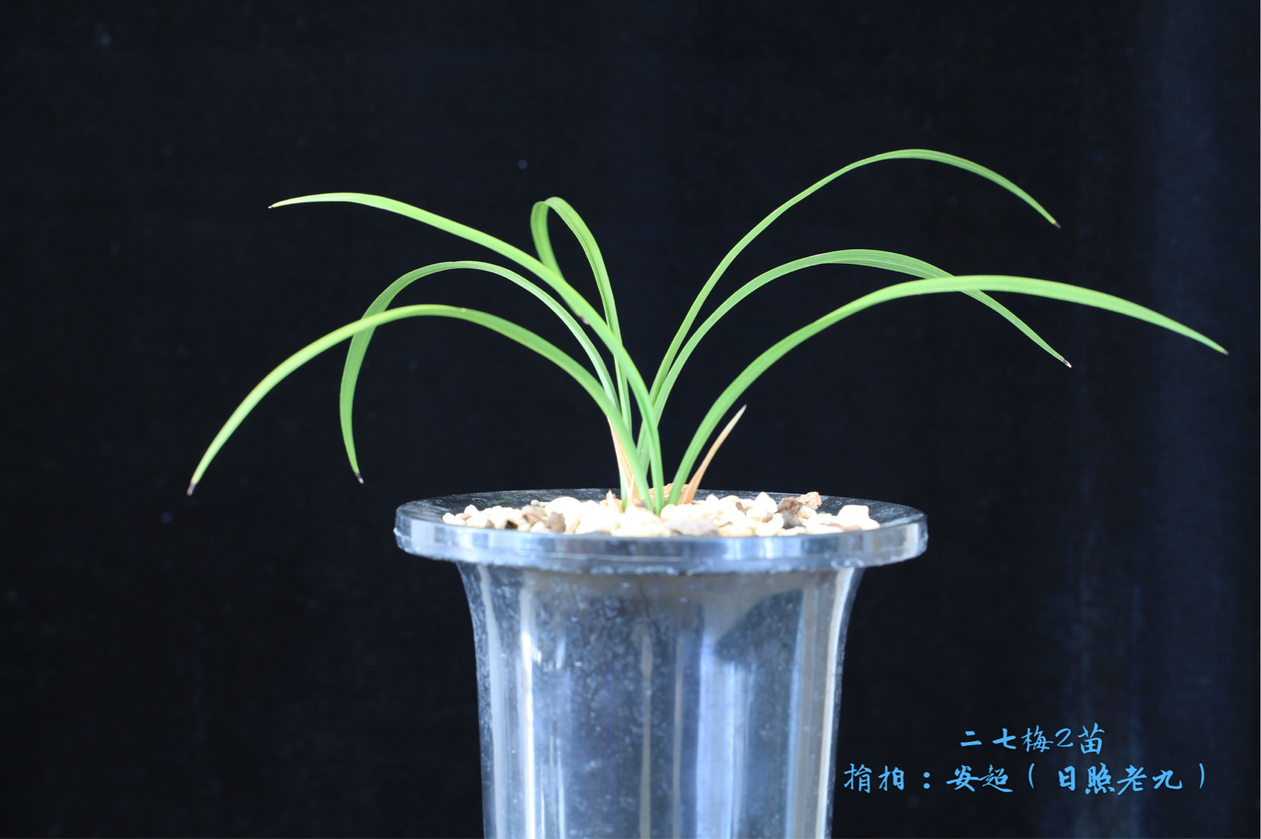 /Upload/Product/766b0d3900a14fd993f3322b99cd76dc.png?width=200&height=148&bgcolor=fff