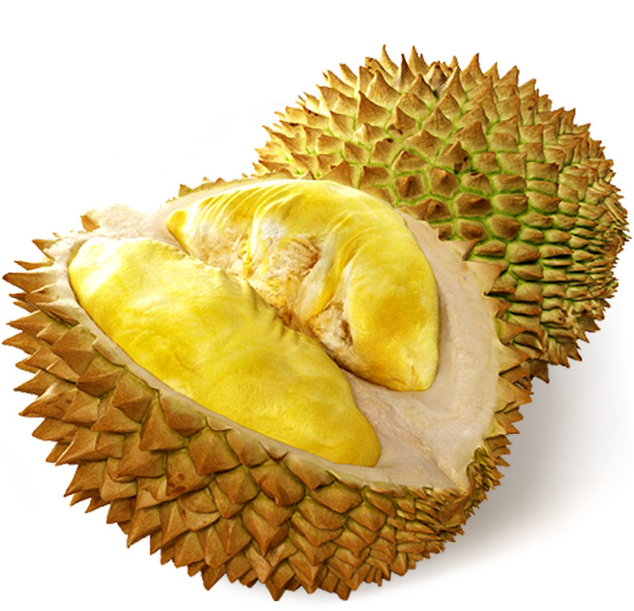 /Upload/Product/7e8a545eaa4b4c87a1dd41d4f80a8f95.png?width=272&height=203&bgcolor=fff
