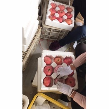 /Upload/Product/92dc4960d8574bddb7566e94433dd443.jpg
