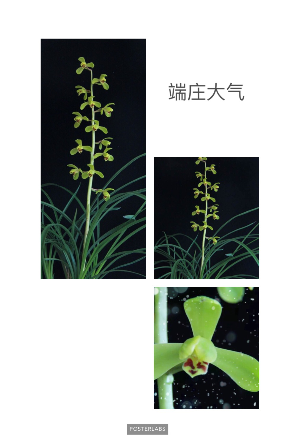 /Upload/Product/aa2355df91384adc8a65eba9d5c41892.png