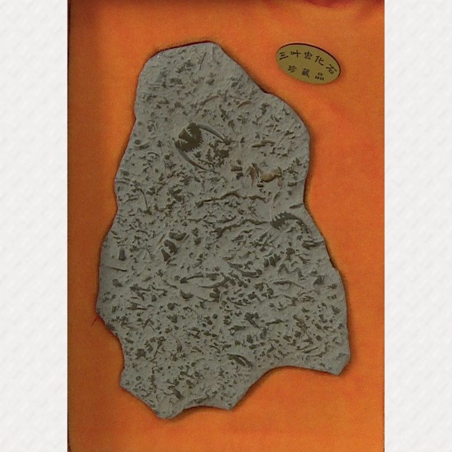 /Upload/Product/baf401a4c4ef40318a48104bdea4d0bc.jpg?width=200&height=148&bgcolor=fff