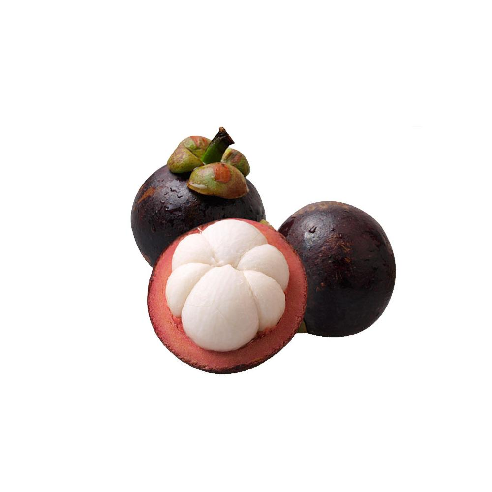 /Upload/Product/c607bd6d19af4d14bd0df0b95410c18a.png?width=272&height=203&bgcolor=fff