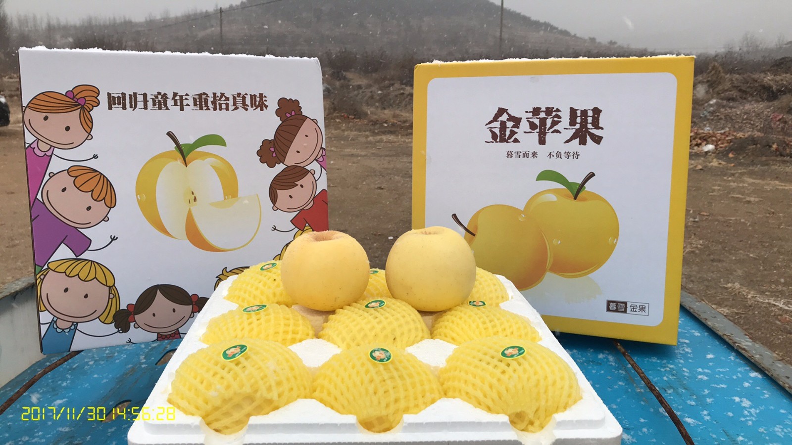 /Upload/Product/db3b4073a329412f8f183fabebcd5929.jpg?width=200&height=148&bgcolor=fff