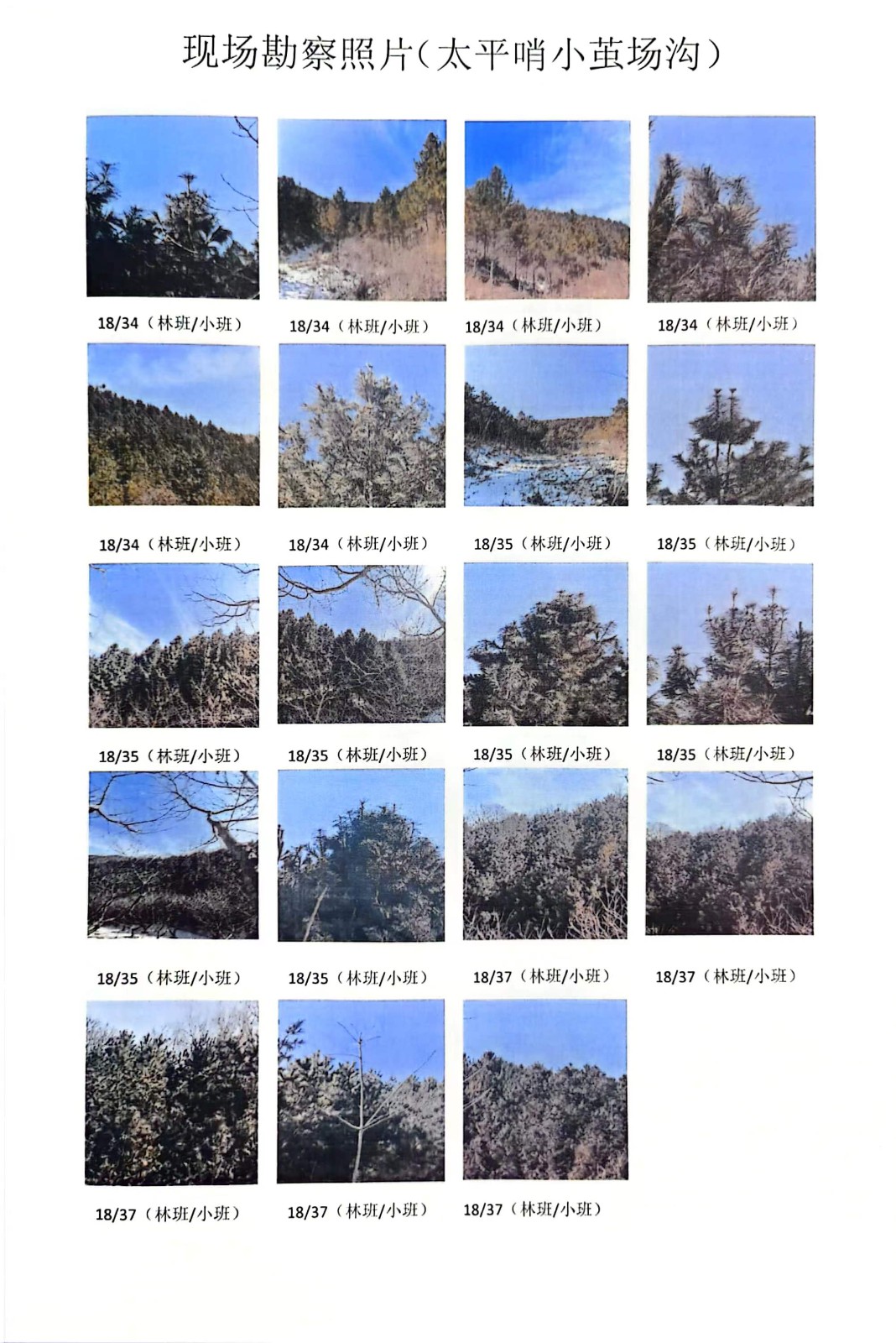 /Upload/Product/ed70d54437fc430699e12597e1b2df2e.jpg?width=200&height=148&bgcolor=fff