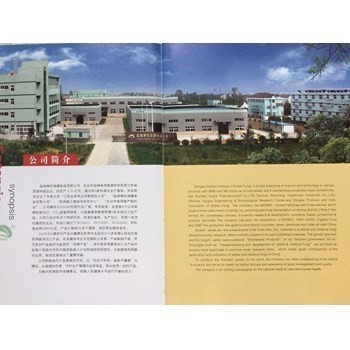 /Upload/Product/f0bc1f107217478f8920fc1305eab245.jpg?width=200&height=148&bgcolor=fff