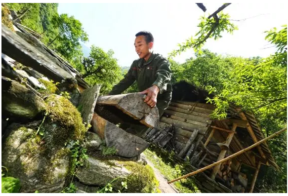 微信截圖_20180714153903.png