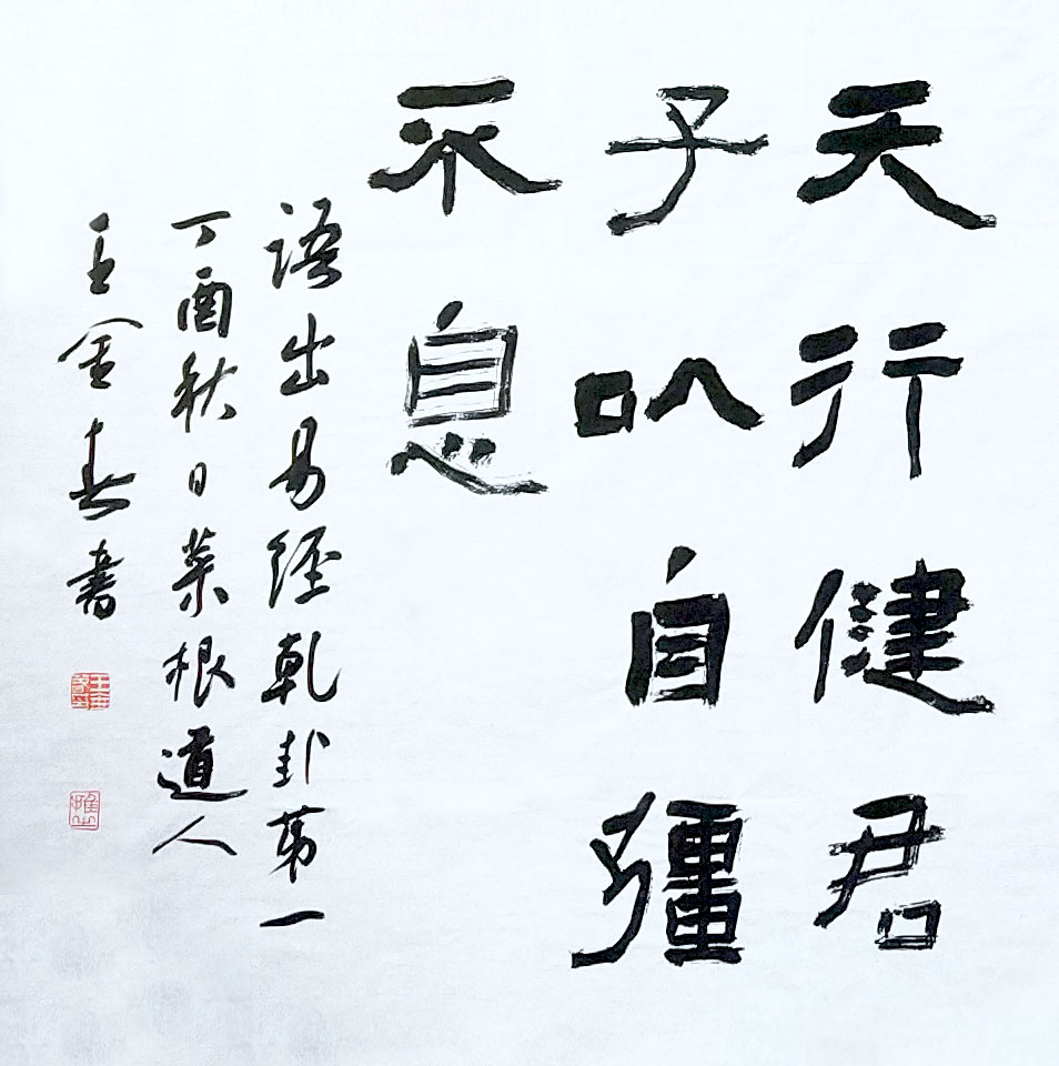 王金春《天行健君子以自強(qiáng)不息》69x69.jpg