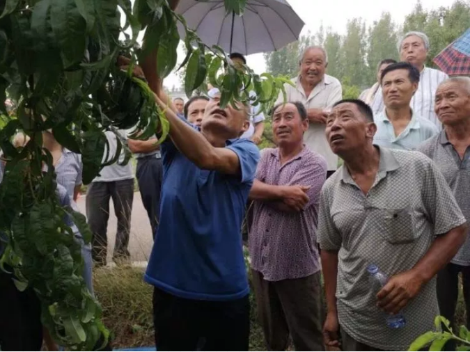 QQ截圖20190718095258.png